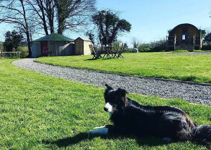Mcclure Yurt At Carrigeen Glamping